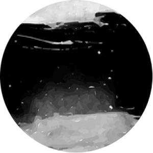 https://www.oroscopo.com/wp-content/uploads/2018/04/planet_02.png