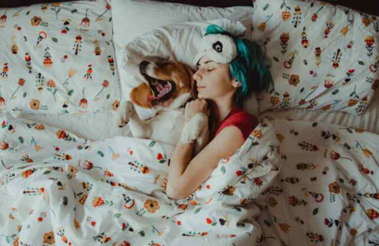 Dormire con il cane