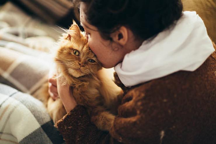  miti da sfatare sul gatto