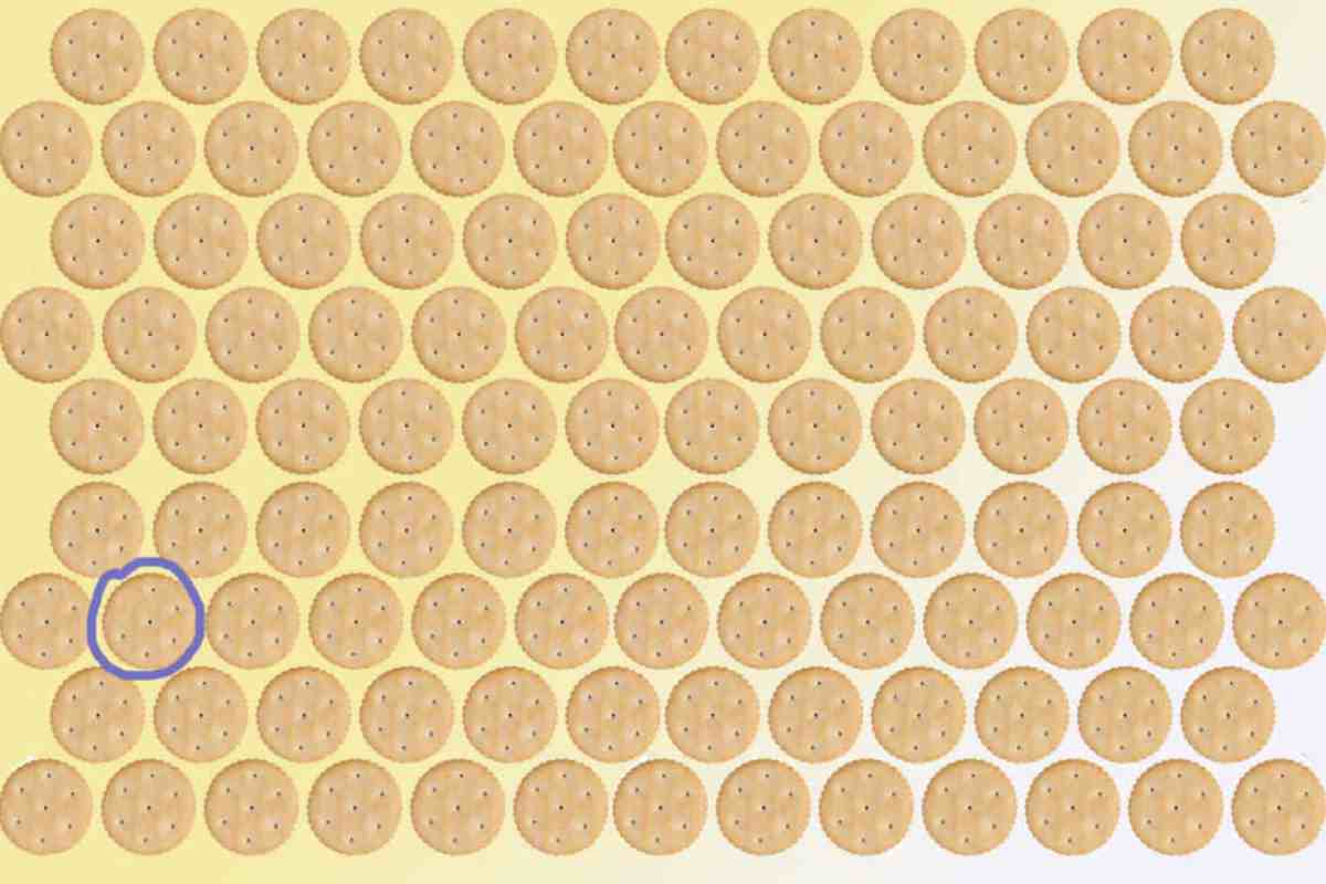 Per chi desidera affinare la propria capacità di osservazione e migliorare la vista acutissima necessaria per superare test come questo,