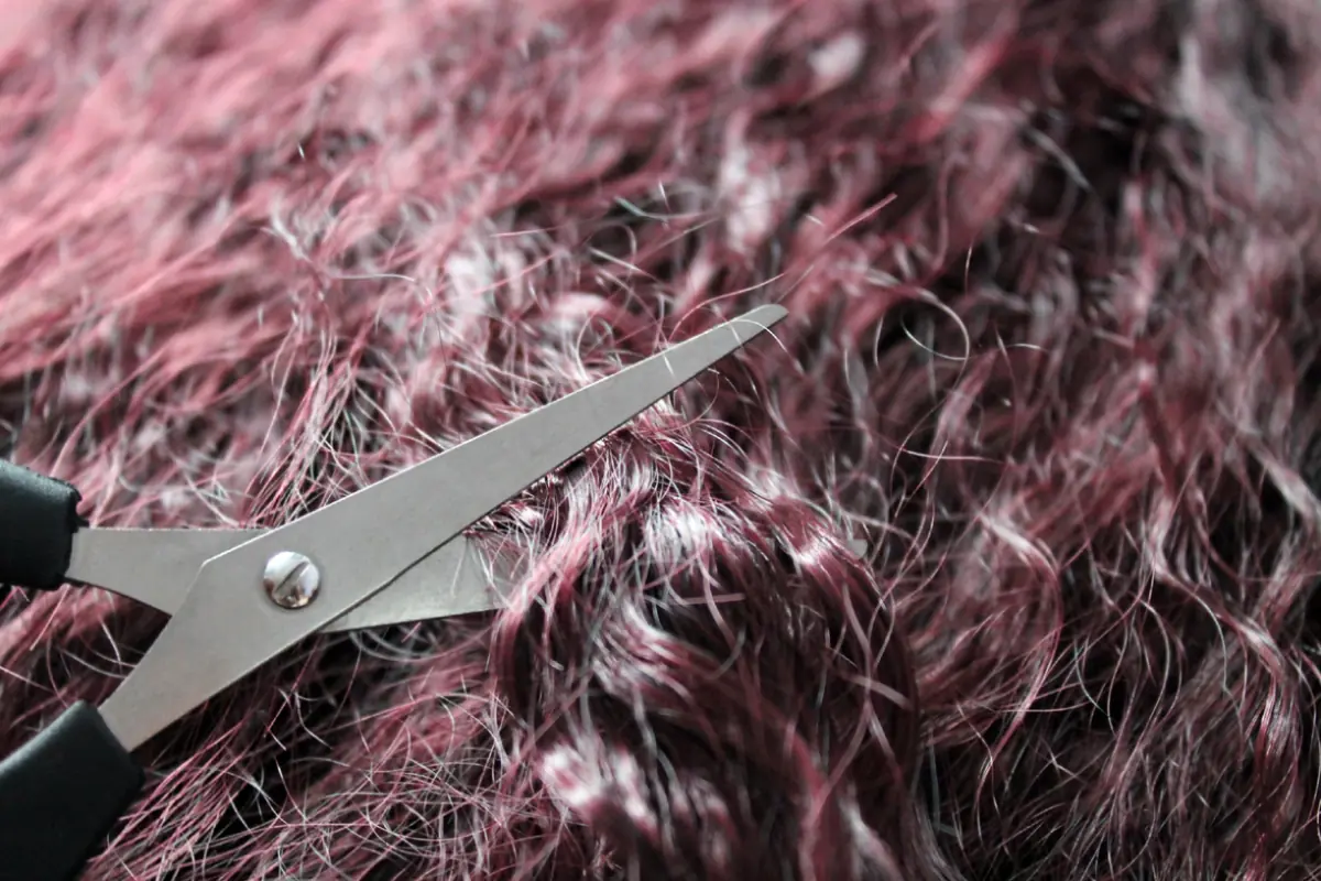 cosa significa sognare tagliare capelli