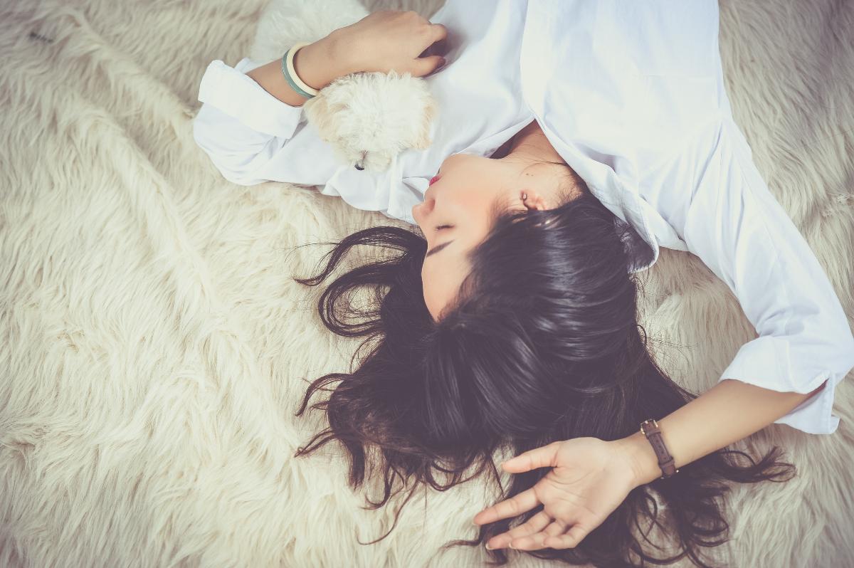 cosa significa sognare gatto